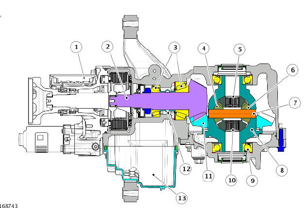 Rear Differential Section View
